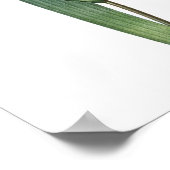 Natuur, botanische afdruk, poster voor bloemkunst  (Hoek)