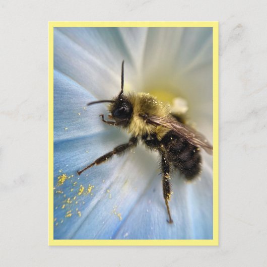 Natuur Botanische Bee Alle Gelegenheid Briefkaart (Voorkant)