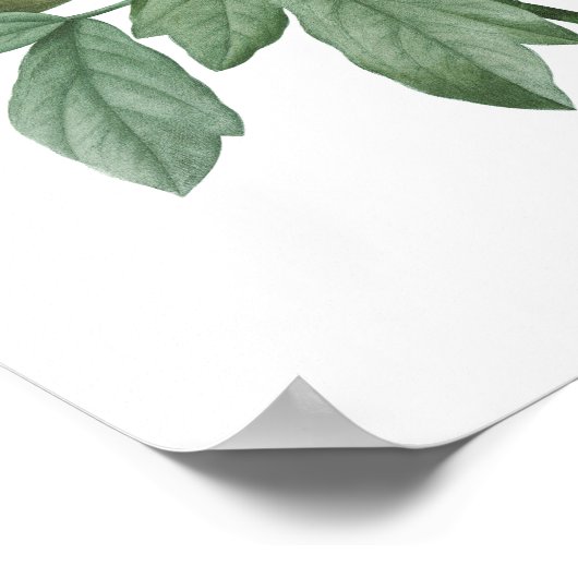 Natuur, botanische druk, poster van de bloem van P (Hoek)