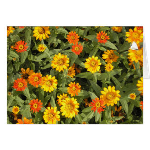 Natuur Bouquet-reeks (Herfst)