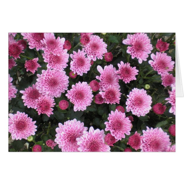 Natuur Bouquet-reeks (lente) (Voorkant Horizontaal)
