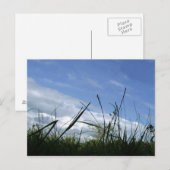 Natuur Briefkaart (Voorkant / Achterkant)