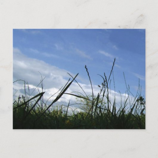 Natuur Briefkaart (Voorkant)