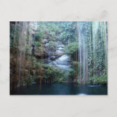 Natuur Briefkaart (Voorkant)