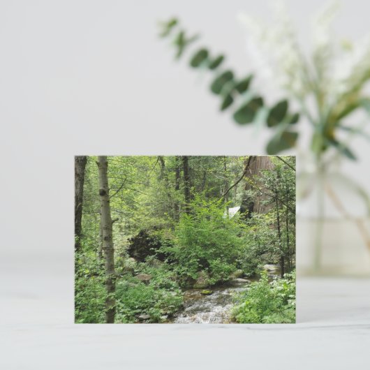 Natuur Briefkaart (Staand voorkant)