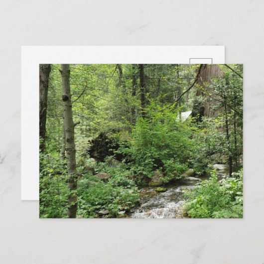 Natuur Briefkaart (Voorkant / Achterkant)