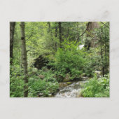 Natuur Briefkaart (Voorkant)