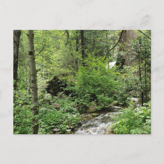 Natuur Briefkaart (Voorkant)