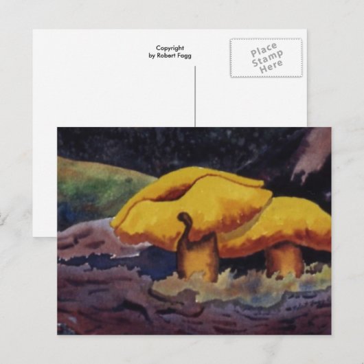 Natuur Briefkaart (Voorkant / Achterkant)