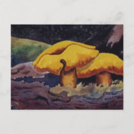 Natuur Briefkaart