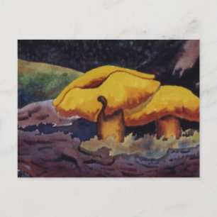 Natuur Briefkaart