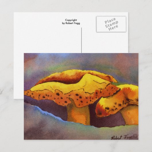 Natuur Briefkaart (Voorkant / Achterkant)