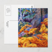 Natuur Briefkaart (Voorkant / Achterkant)