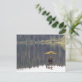 Natuur Briefkaart (Staand voorkant)