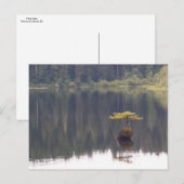 Natuur Briefkaart (Voorkant / Achterkant)