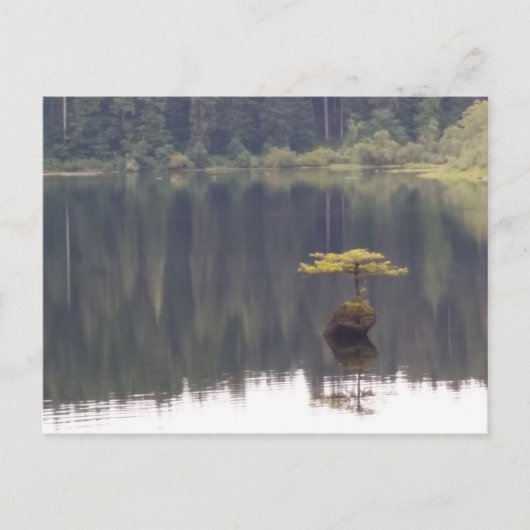 Natuur Briefkaart (Voorkant)