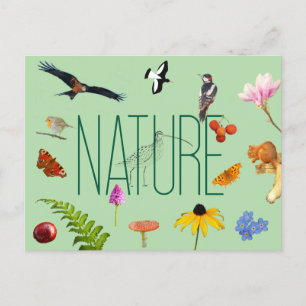 Natuur Briefkaart