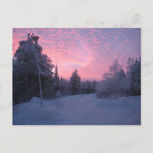 Natuur Briefkaart (Voorkant)