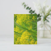 Natuur Briefkaart (Staand voorkant)