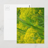 Natuur Briefkaart (Voorkant / Achterkant)