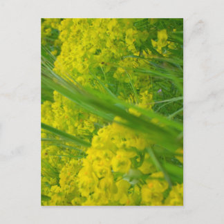 Natuur Briefkaart