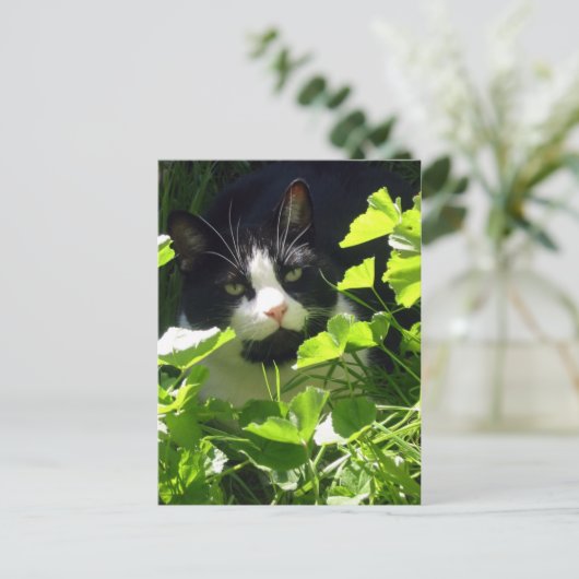 Natuur Briefkaart (Staand voorkant)