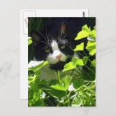 Natuur Briefkaart (Voorkant / Achterkant)