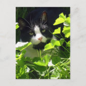 Natuur Briefkaart (Voorkant)