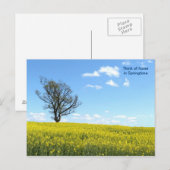 Natuur Briefkaart (Voorkant / Achterkant)