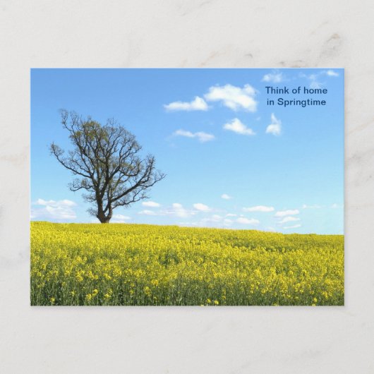 Natuur Briefkaart (Voorkant)