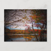 natuur briefkaart (Voorkant)