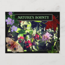 Natuur Briefkaart Bounty Wild Berries