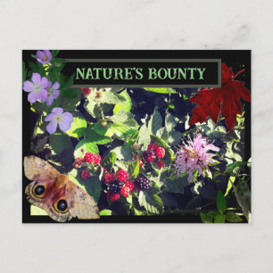 Natuur Briefkaart Bounty Wild Berries