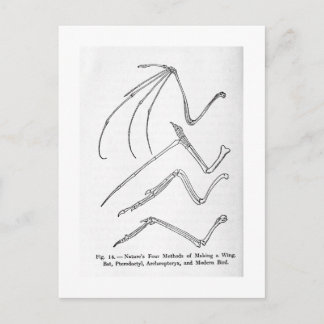 Natuur briefkaart met vier vleugels