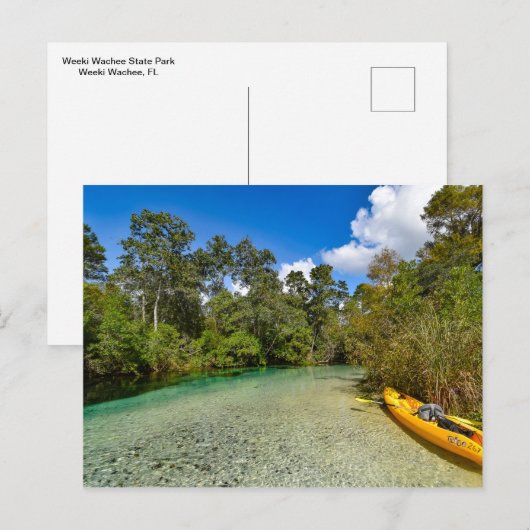 Natuur briefkaart van Florida (Voorkant / Achterkant)