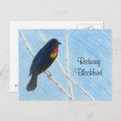 Natuur Briefkaart voor roofvogels (Voorkant / Achterkant)