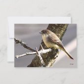 Natuur briefkaarten Vogelkaarten (Voorkant)