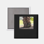 Natuur Bumpy Tree Sticker Magneet (Voorkant / Achterkant)