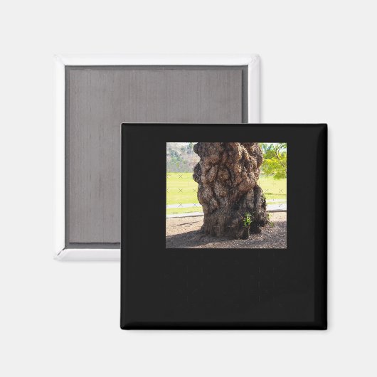 Natuur Bumpy Tree Sticker Magneet (Voorkant / Achterkant)