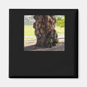 Natuur Bumpy Tree Sticker Magneet