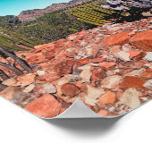 Natuur Cactus Planten Postc. Poster (Hoek)