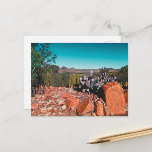 Natuur Cactus-Planten van het Afrikaanse woestijnl Briefkaart