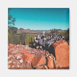 Natuur Cactus-Planten van het Afrikaanse woestijnl Magneet