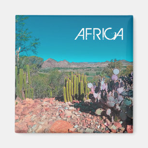 Natuur Cactus-Planten van het Afrikaanse woestijnl Magneet