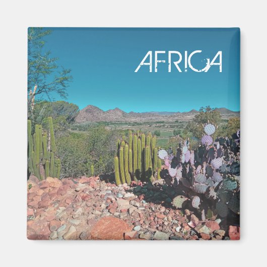 Natuur Cactus-Planten van het Afrikaanse woestijnl Magneet (Voorkant)