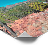 Natuur Cactus-Planten van het Afrikaanse woestijnl Poster (Hoek)