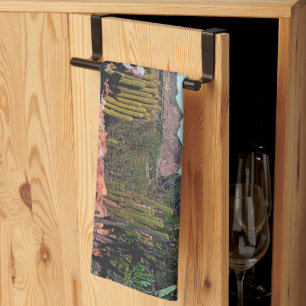 Natuur Cactus-Planten van het Afrikaanse woestijnl Theedoek