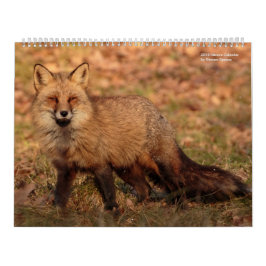 natuur Calender 2018 Kalender