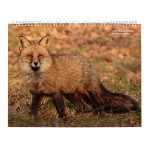 natuur Calender 2018 Kalender