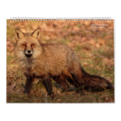 natuur Calender 2018 Kalender (Hoes)